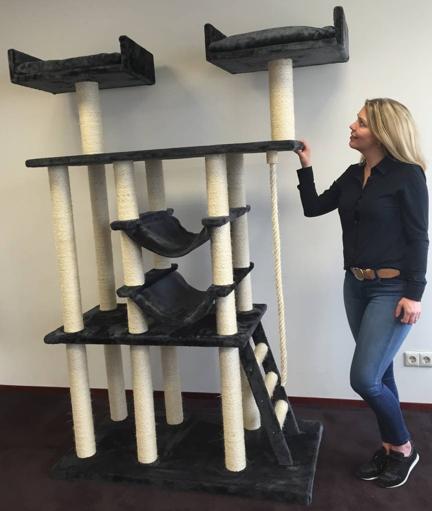 arbre a chat rhrquality